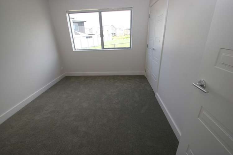 38 Headland Drive Long Bay_11