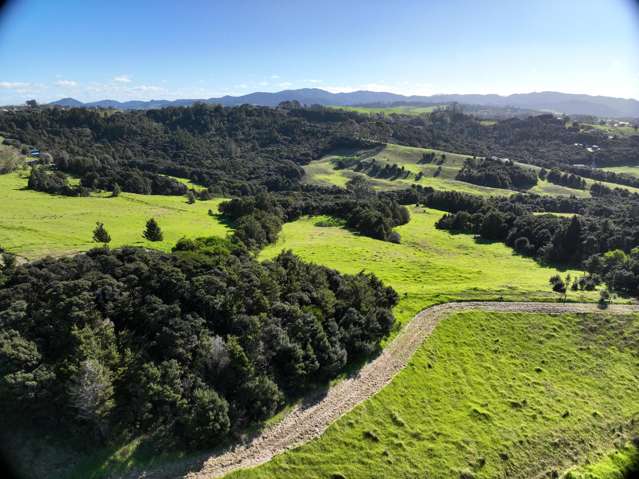 Mangawhai Bush Estate Mangawhai_3