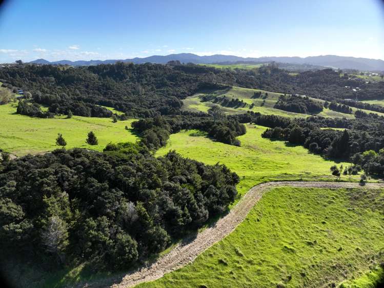 Mangawhai Bush Estate_2