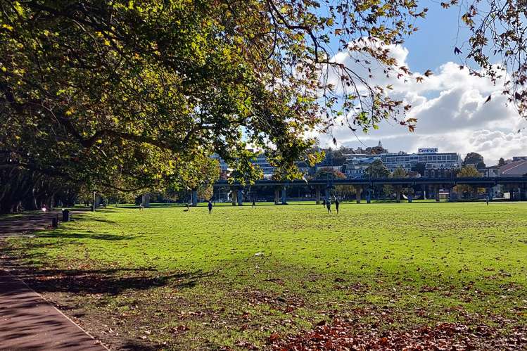 5f/208 Hobson Street Auckland Central_9