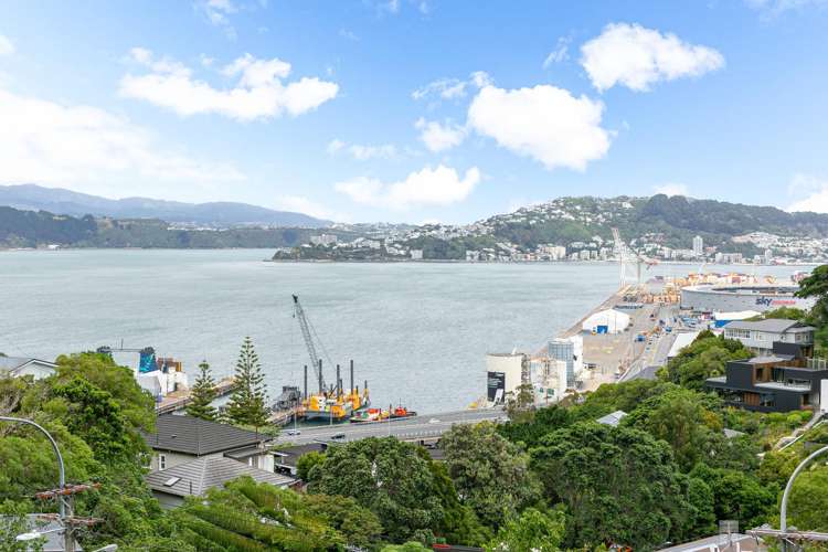 113 Barnard Street Wadestown_21