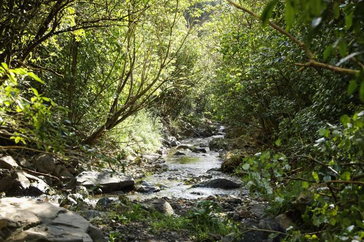 106 Harrison Hill Road Aokautere_10