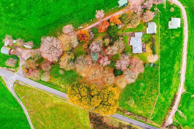 124 Deep Creek Road Reporoa and Surrounds_31