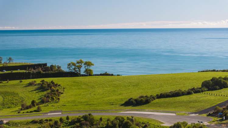 14 Te Papa Lane Tasman_8