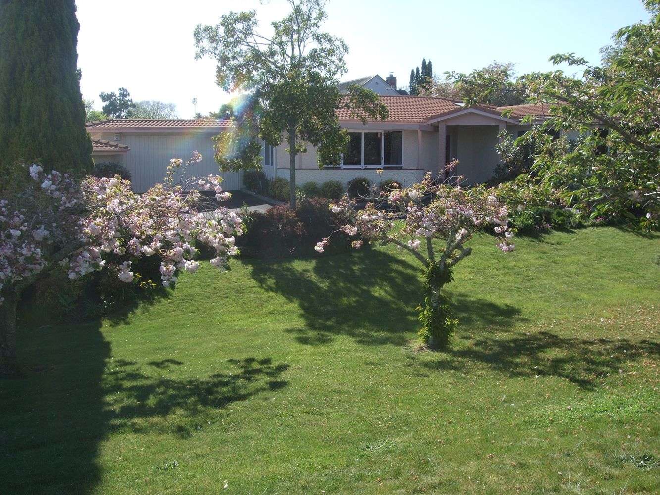 1/35 Busby Hill Havelock North Hastings Houses for Rent One Roof