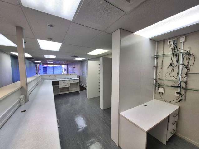 1248 Dominion Road Mt Roskill_4