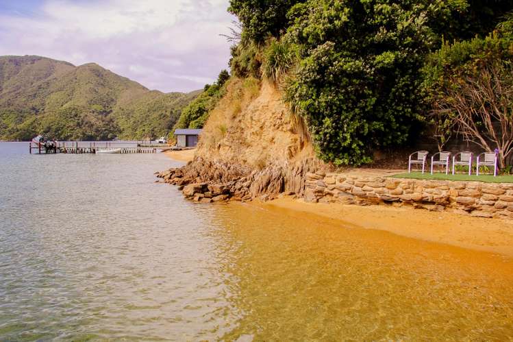 Blackwood Bay Queen Charlotte Sound_32