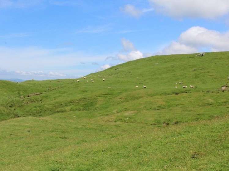 858 Oporae Road Weber_27