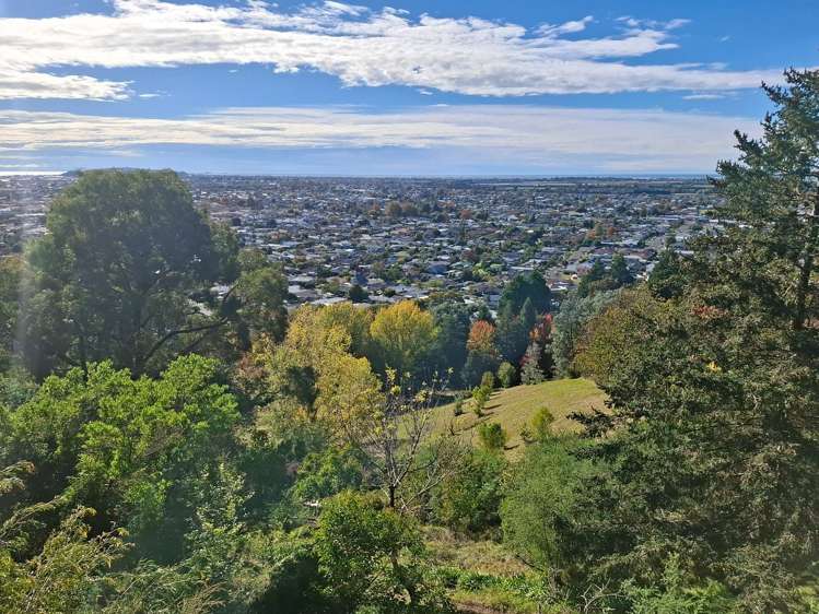 120A Puketapu Road Taradale_7