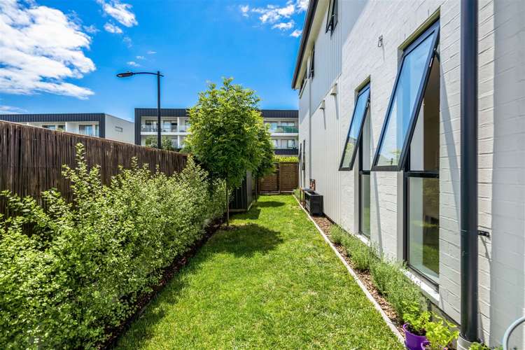 1 Orca Drive Stanmore Bay_10