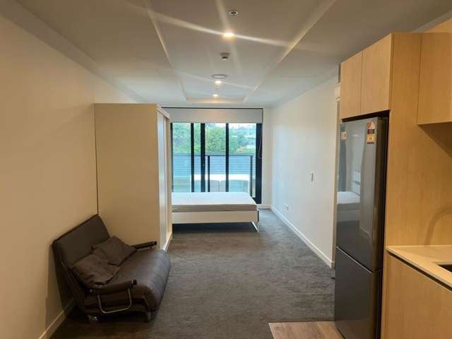 309A/428 Dominion Road, Mount Eden