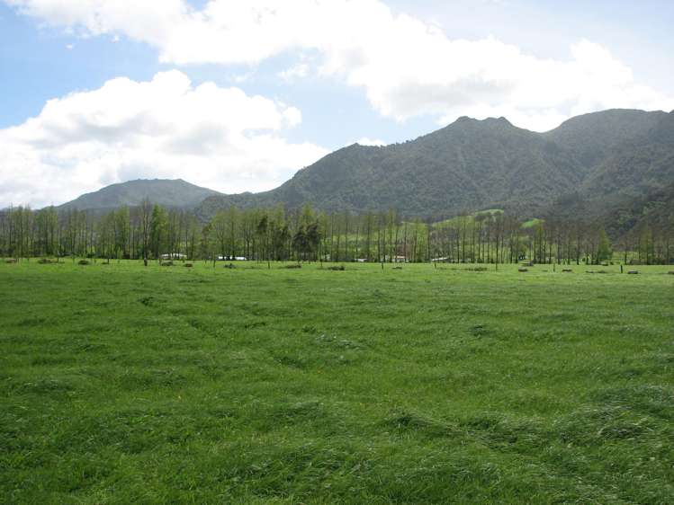 1704 Te Aroha-Gordon Road Te Aroha_5