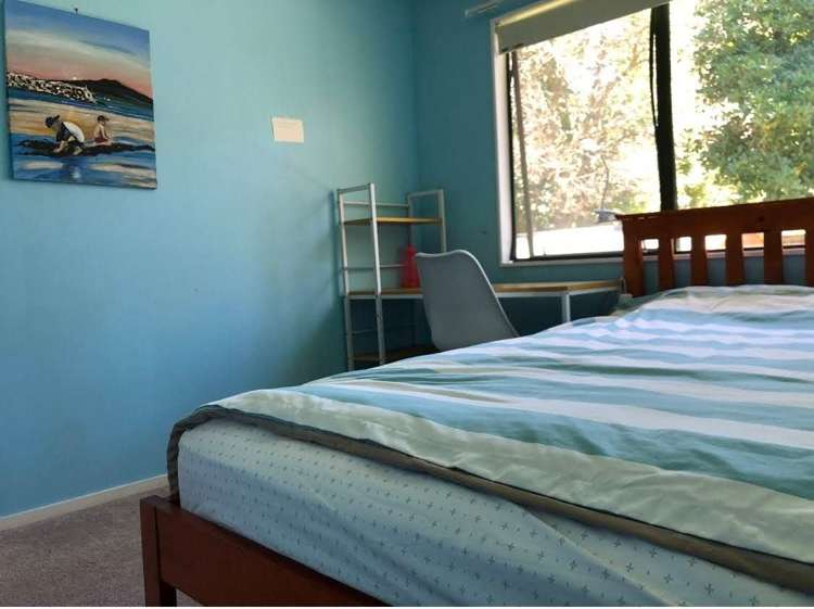 6A Carlisle Road Browns Bay_8