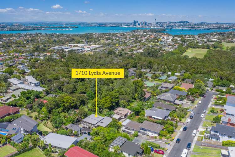 1/10 Lydia Avenue Northcote_17