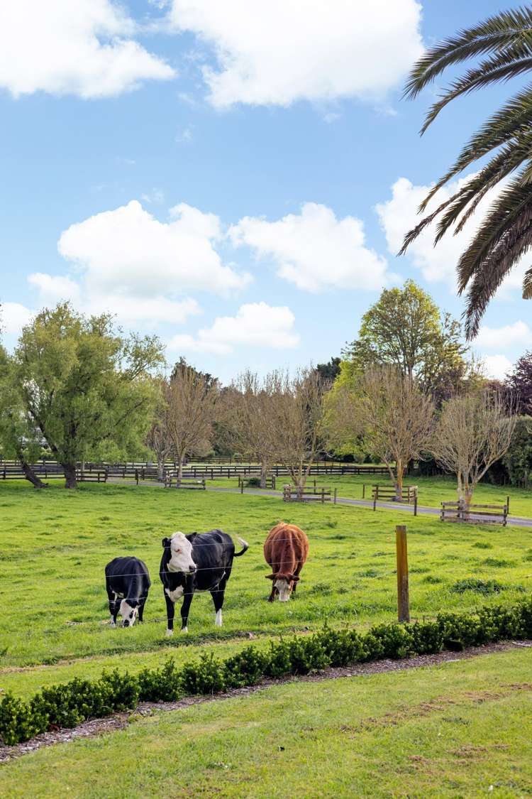 19 Hereford Drive Horsham Downs_37