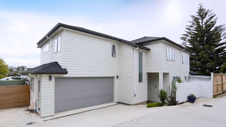 19a Ludlow Terrace Totara Vale_0