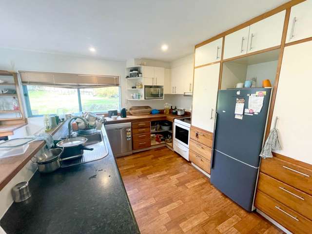 53A John Davis Road Mt Roskill_1
