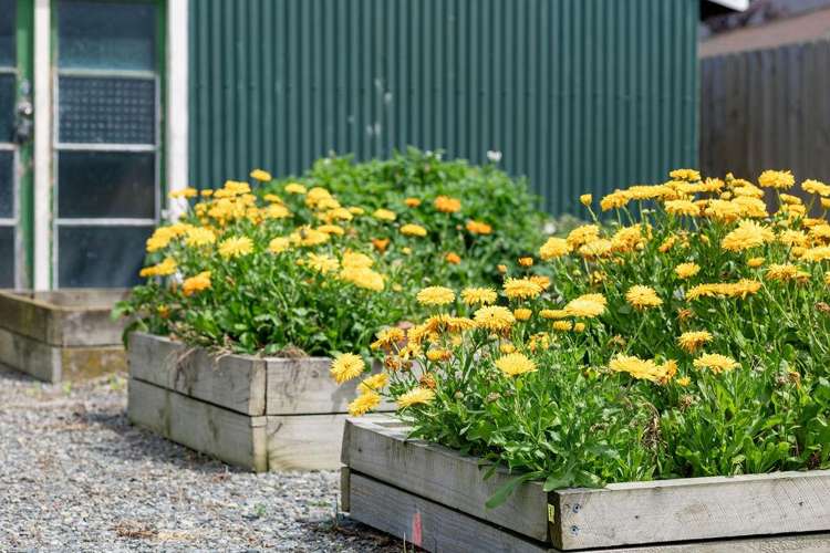 10 Lampard Street Methven_27