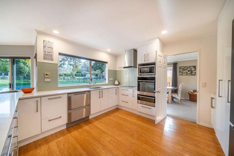 101 Emerald Hill Drive Birchville_9