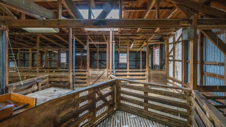 2 Cotswold Road Omihi_33