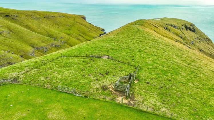 810 Lavericks Bay Road Le Bons Bay_6