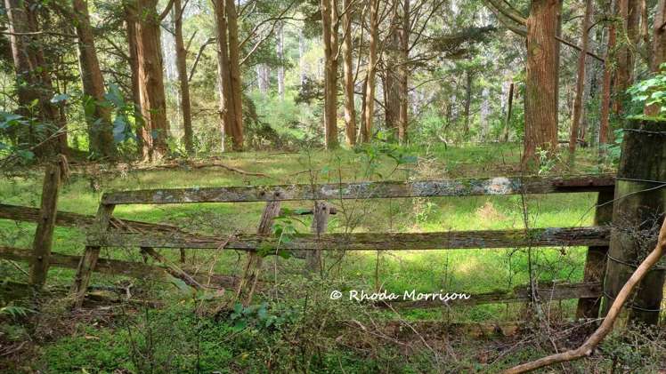 726 Paparoa Station Road Maungaturoto_36