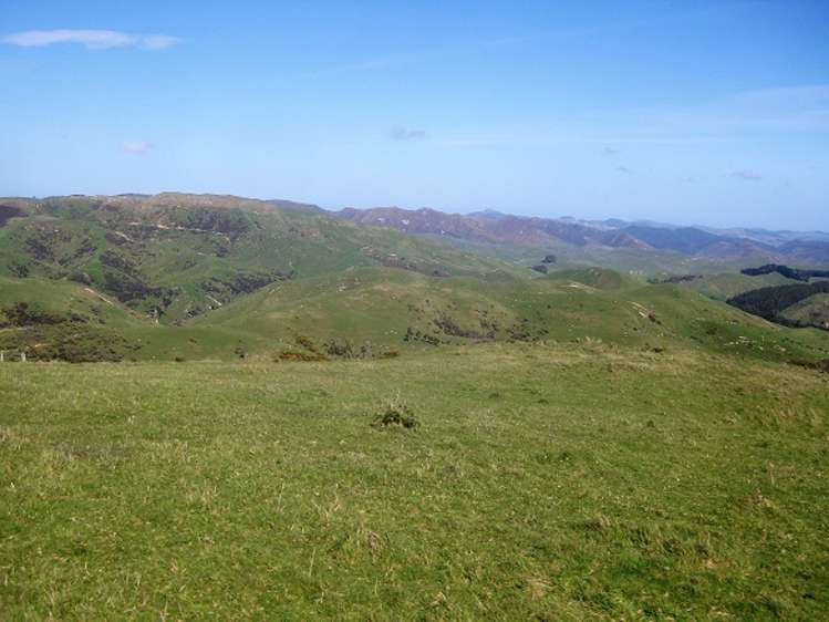 12271 Route 52 Pongaroa_22