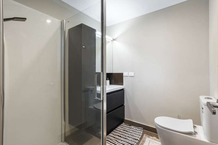 14 Vivaldi Place Mount Roskill_17