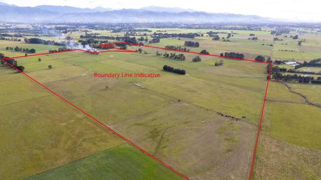 Cross Line Greytown_3