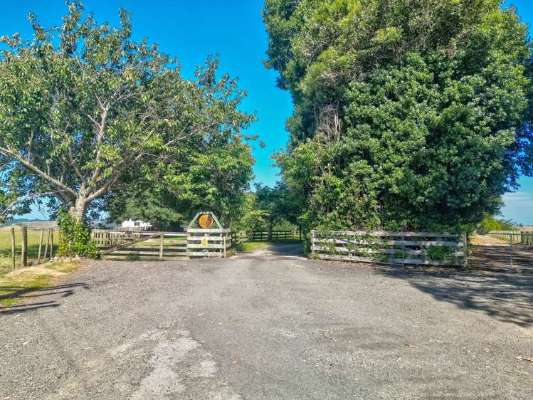 26f Bushy Park Road Kai Iwi_6