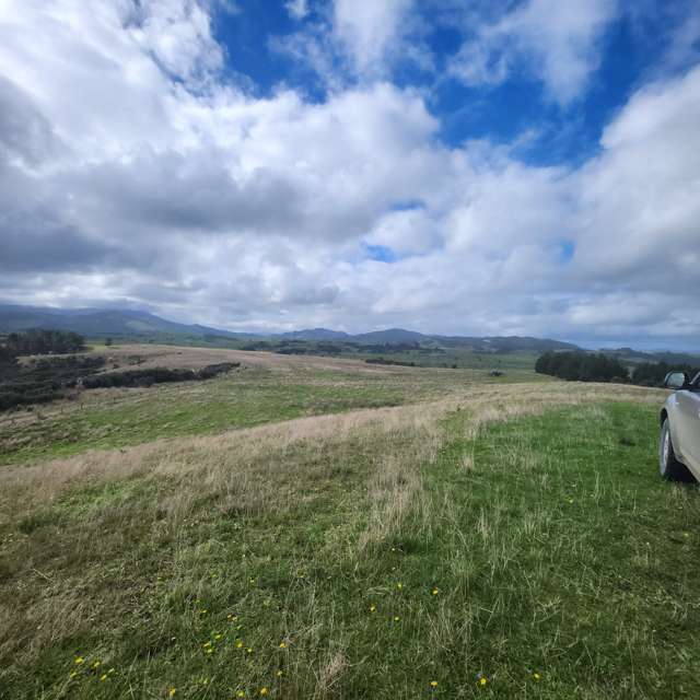 Lot 2 State Highway 12 Dargaville_1