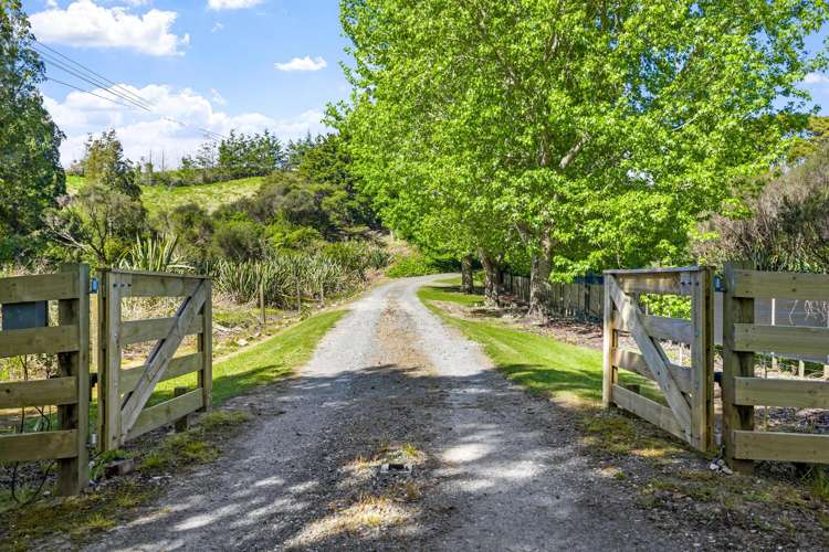 331 Kaipara Flats Road Warkworth_1