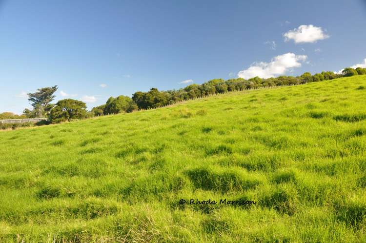 113 Te Rawhiti Road Matakohe_71