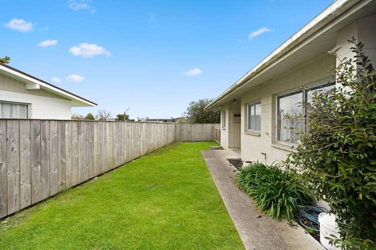 91B Rimu Street_0