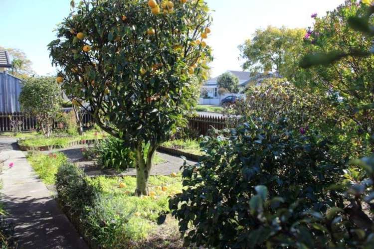 2/20 Wainui Street The Wood_15