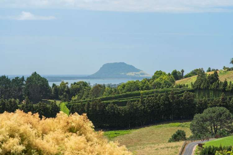 30A Sagewood Road Whakamarama_42