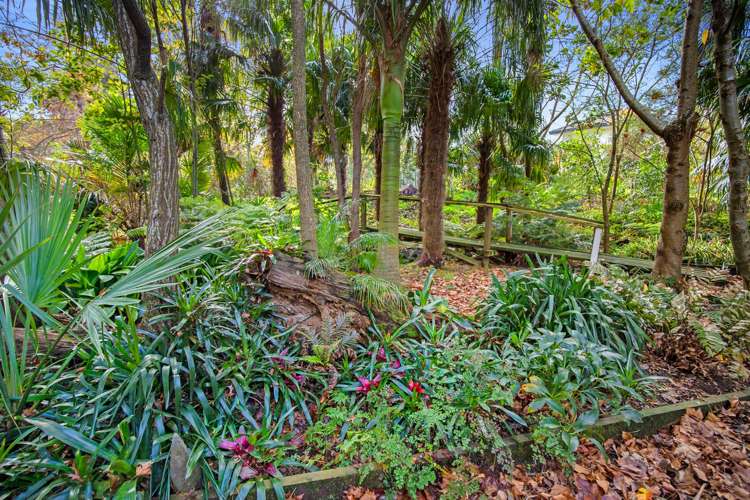 2 Gallagher Street Te Aroha_20