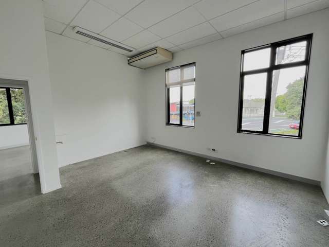 483 Richmond Road Grey Lynn_3