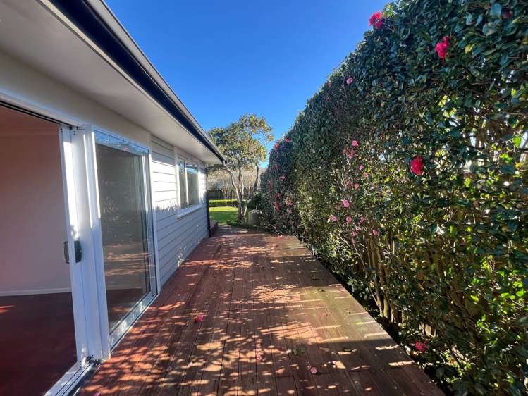 75A George Crescent Buckland_15