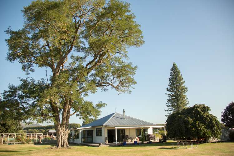 207 Tondros Road Fairlie_2