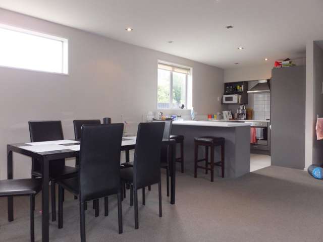 6b Elizabeth Street Riccarton_2