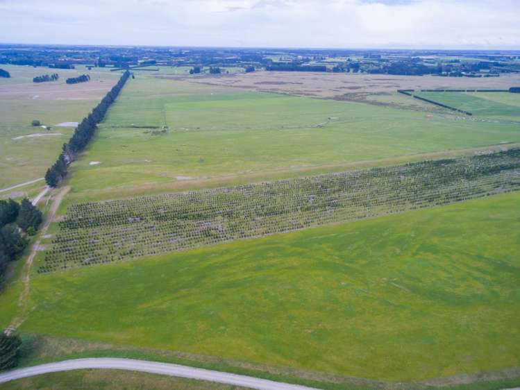 150 Thompsons Road West Melton_6