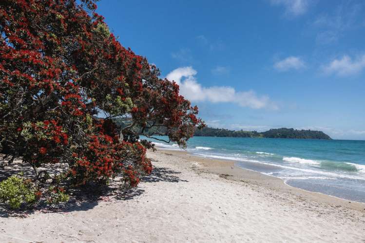 498 Sea View Road Onetangi_41