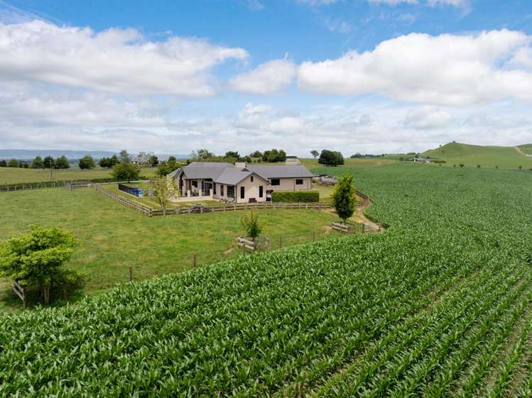 23 Morgan Road Matamata_20