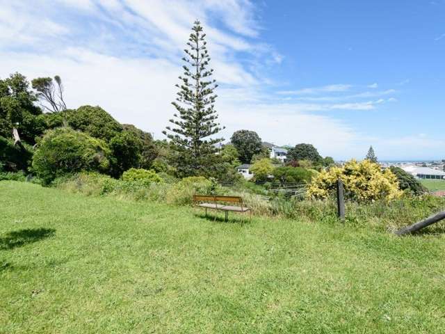 95 Hamilton Road Hataitai_2