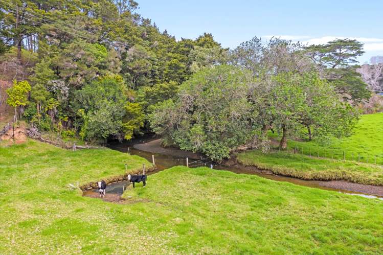 1077 Whangarei Heads Road Parua Bay_17