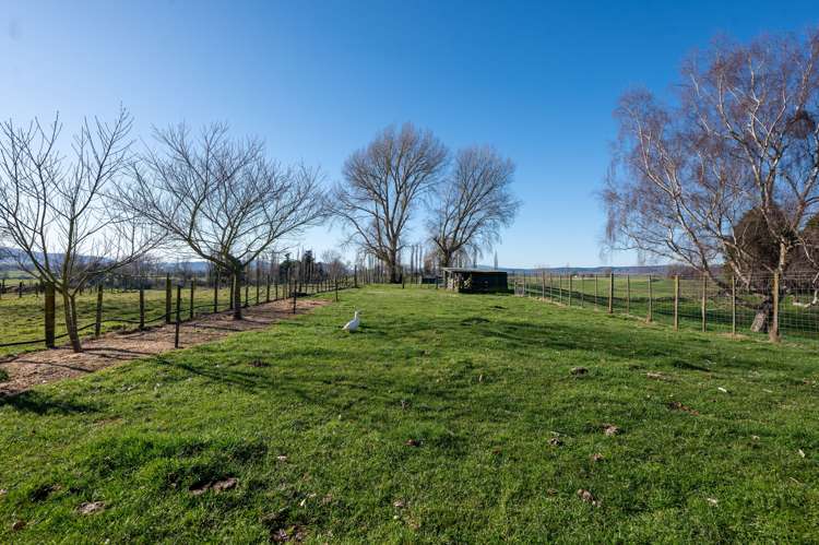 29 Halcrow Road Reporoa and Surrounds_19