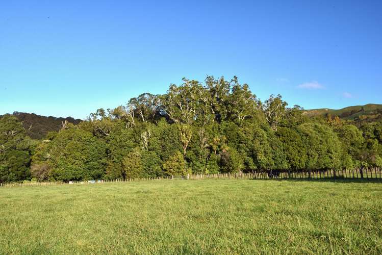559 Taurau Valley Road Manutuke_26