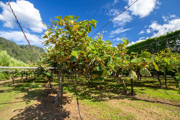 15 Tangiteroria Lane Pauanui_13