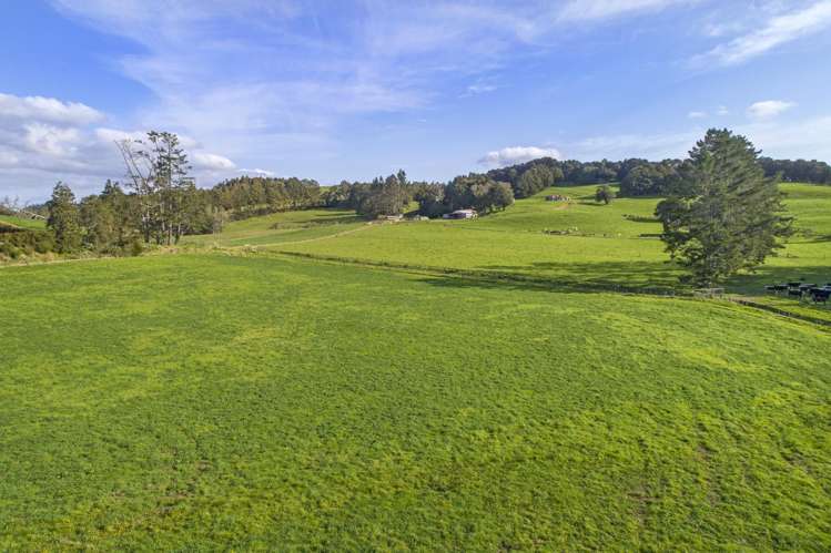 1323 SH One - Lot 1 Hikurangi_7